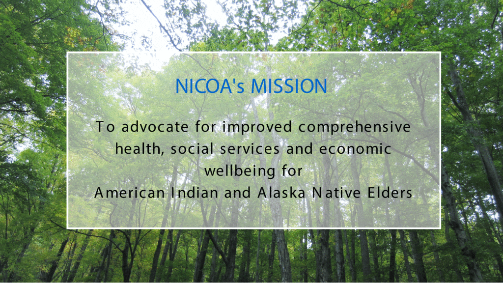 Visual_NICOA_MIssion_Statement