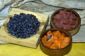 Alaskan Traditional Raw Diet